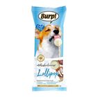 Burp! (TR0229903) Whiskerlicious Freeze Dried Lollipop Chicken & Goat Milk Dog 8g