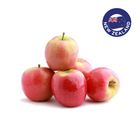 Freshstory Pink Lady Apple 750g