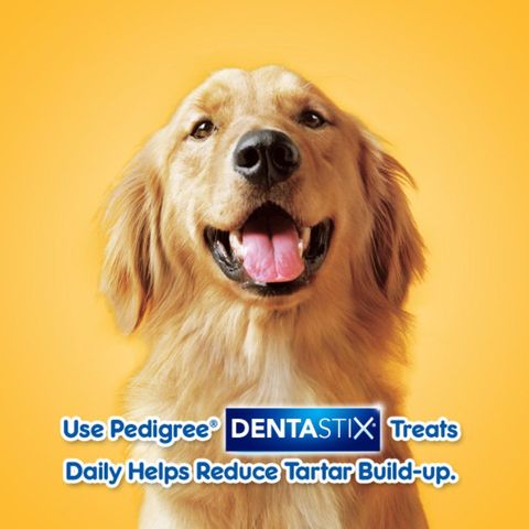 Pedigree Dentastix Large Dental Care Treats 112g