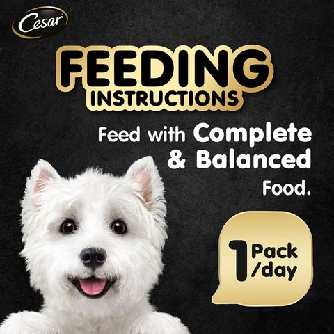 Cesar Tender Lamb with Country Vegetables Canned Dog Wet Food 100g