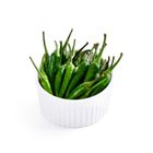 brightfarms Green Chili Padi 100g