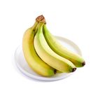 Sunpride Cavendish Banana 700g (Stage 4-6)