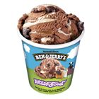 BJ39 Ben & Jerry's Phishfood 473ml