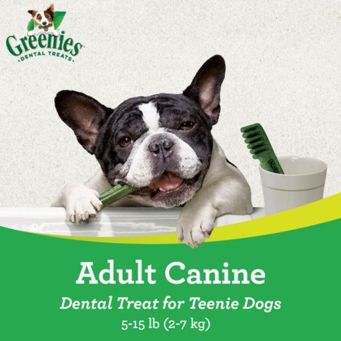 Greenies Treats Pak Teenie (12oz) 340g