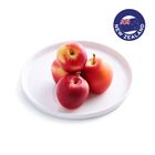 Rockit Apple 5s