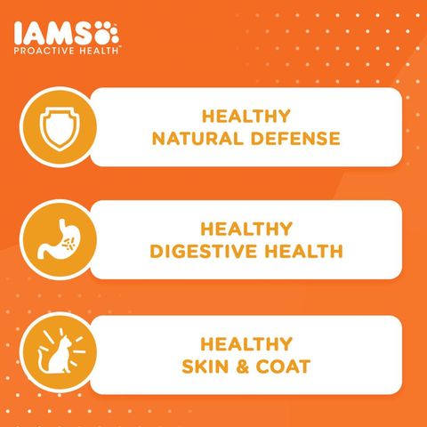 IAMS Healthy Adult Chicken Dry Cat Food 1kg