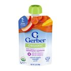 Gerber 2nd Foods Carrot Apple Mango Pouch Puree (From 12 Months) 99g