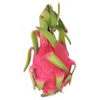 Vietnam Dragon Fruit 1 pc