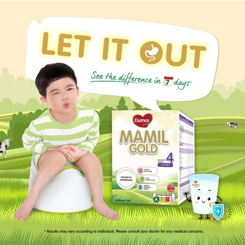 Dumex Mamil Gold Growing Up Milk Formula Stage 4 Box 1.6kg