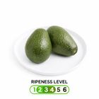 brightfarms Unripe Avocado (Stage 2-4) 3pcs