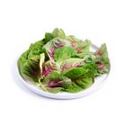 brightfarms Red Spinach 250g