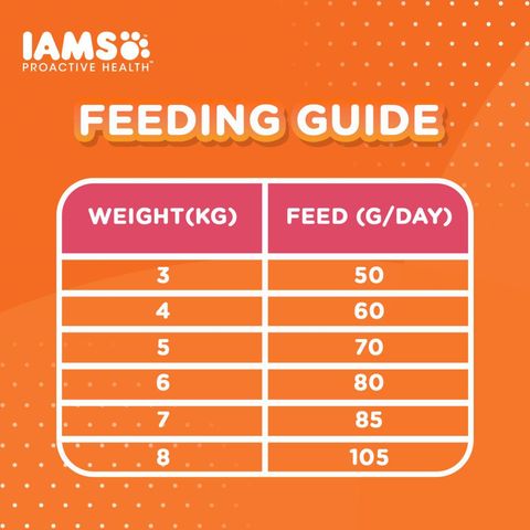 IAMS Healthy Adult Tuna & Salmon  Dry Cat Food 1kg