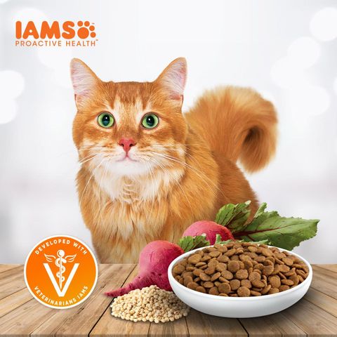 IAMS Healthy Adult Chicken Dry Cat Food 1kg