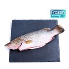 brightfarms Barramundi Seabass (Whole, Cleaned) 450g