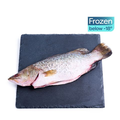 brightfarms Barramundi Seabass (Whole, Cleaned) 450g