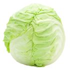 Film Wrapped Beijing Cabbage China