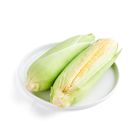 brightfarms Sweet Corn 2pcs
