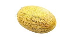 Hami Melon Yellow Skin China 1pc