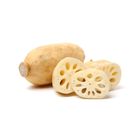 The Silly Greens Lotus Root 620g