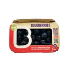 Berryworld Blueberry Jumbo 150g