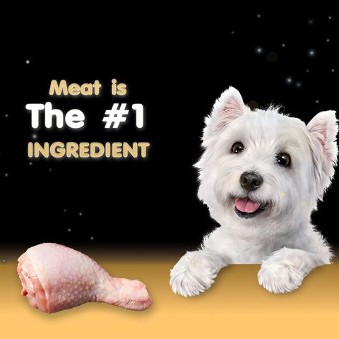 Cesar Chicken Canned Wet Dog Food 100g