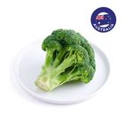 brightfarms Australia Broccoli 280g