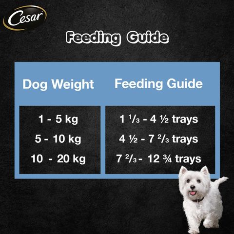 Cesar Chicken & Vegetables Canned Wet Dog Food 100g