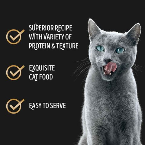 Sheba Succulent Chicken Breast with Salmon in Gravy Canned Cat Wet Food 85g