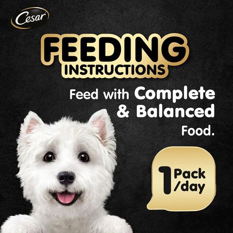 Cesar Prime Beef with Vegetables Canned Dog Wet Food 100g