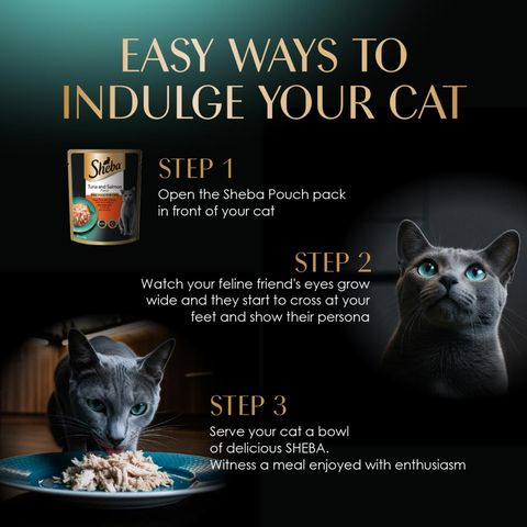 Sheba Pouch Tuna & Chicken 70g
