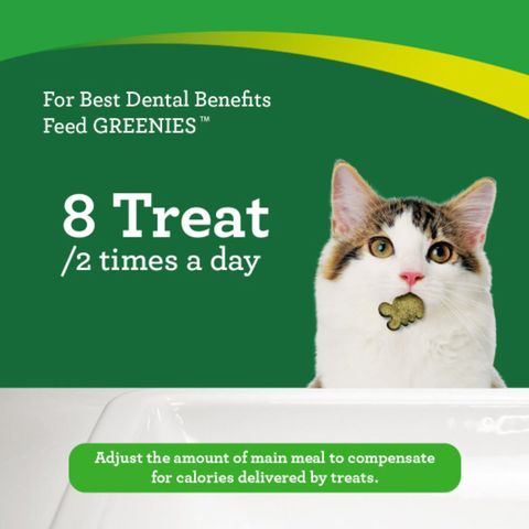 Greenies Feline Dental Treats Salmon 60g