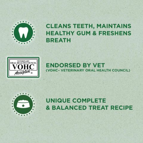 Greenies Feline Dental Treats Salmon 60g