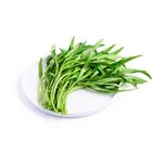 brightfarms Kang Kong 250g