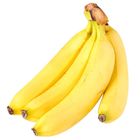 Ecuador / Philippines / Indonesia Cavendish Banana