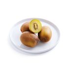 Zespri Kiwifruit Gold (5pcs) 550g