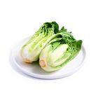 brightfarms Baby Wong Bok 250g