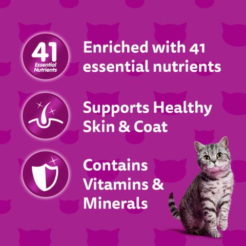 Whiskas Pouch Mack W Salmon 85g