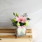 Flower Arrangement Pink Gerbera 1 Bouquet - AR2106FP