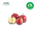 ZENXIN Organic Apple 400g