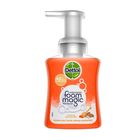 Dettol Honey Milk Handwash 250ml