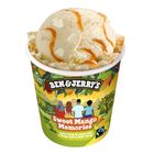 Ben & Jerry's Sweet Mango Memories 465ml