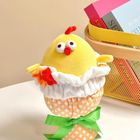 Miniso Mini Family Little Bouquet Plush Toy Dundun 1 Piece - 6925912114123