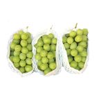 Shine Muscat 500g
