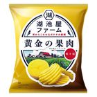 Koikeya Farm Golden Flesh Grilled Salt 55g