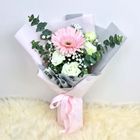 Flower Pink Gerbera (1 Stalk) 1 Bouquet - BQ2403FP