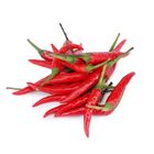 Red Chili Padi 100g