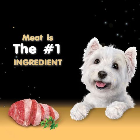 Cesar Beef Canned Wet Dog Food 100g