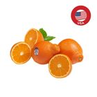 Sunkist USA Minneolas 5 Pieces
