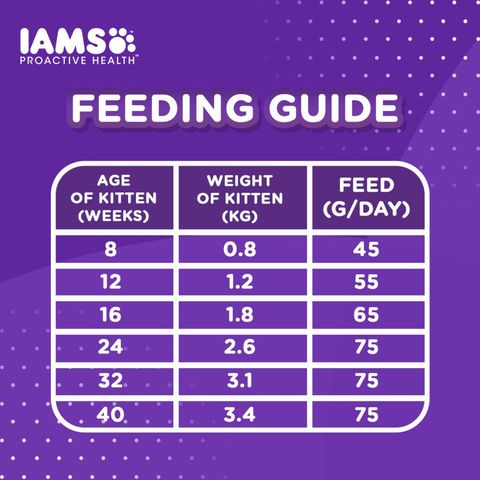 IAMS Mother & Kitten Chicken Dry Cat Food 1kg