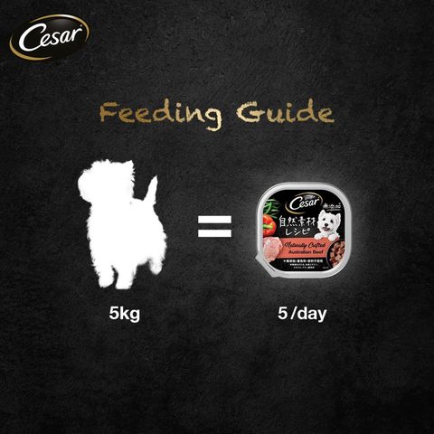 Cesar Naturally Crafted Beef Canned Dog Wet Food 85g